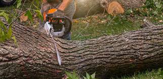 Best Soil Testing and Treatment  in Caldwell, OH